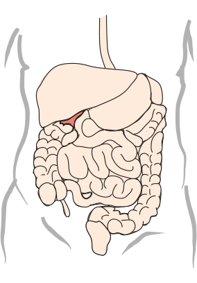 Galleveiene